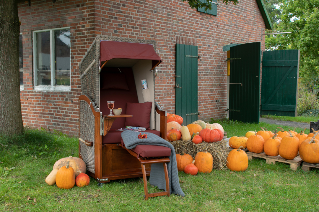 01888_02512_strandkorb_spiekeroog_single_mahagoni_pe_grey_dessin_550_kuscheldecke_grey-2