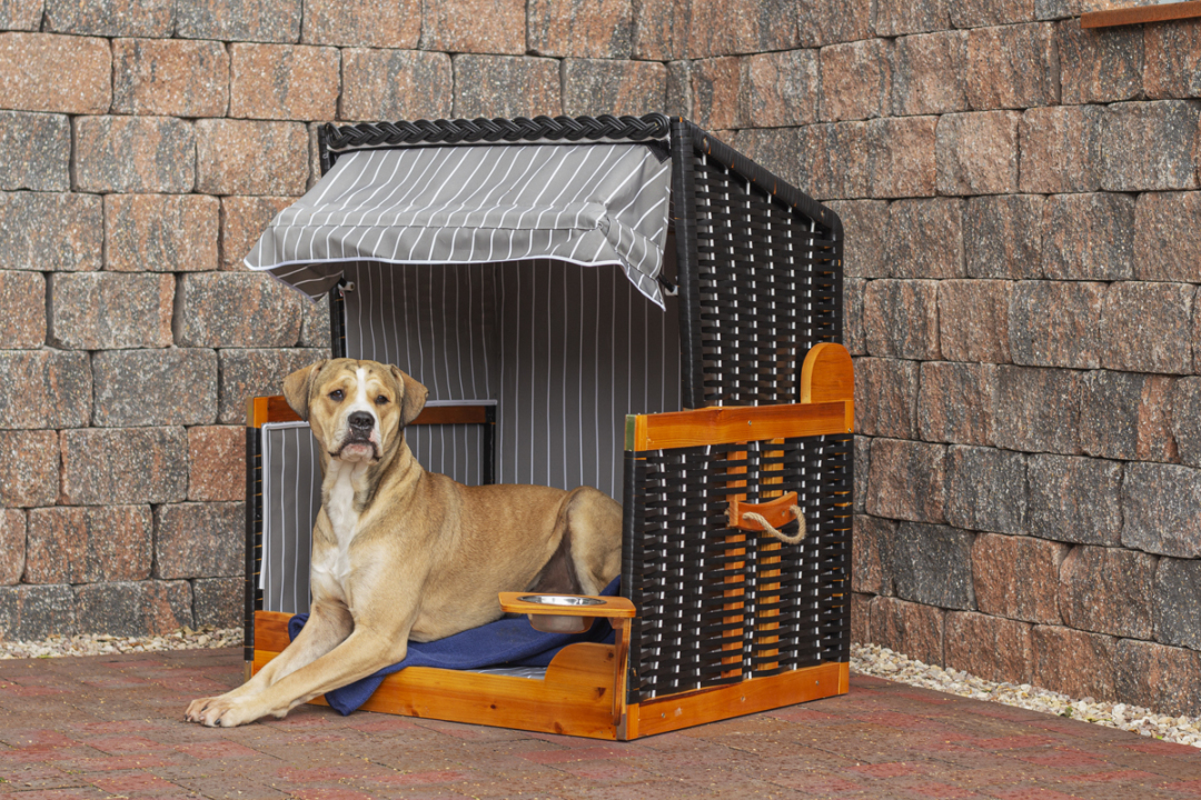 272630281CN_Hundestrandkorb_antracite_028_Milieu (3) (1)